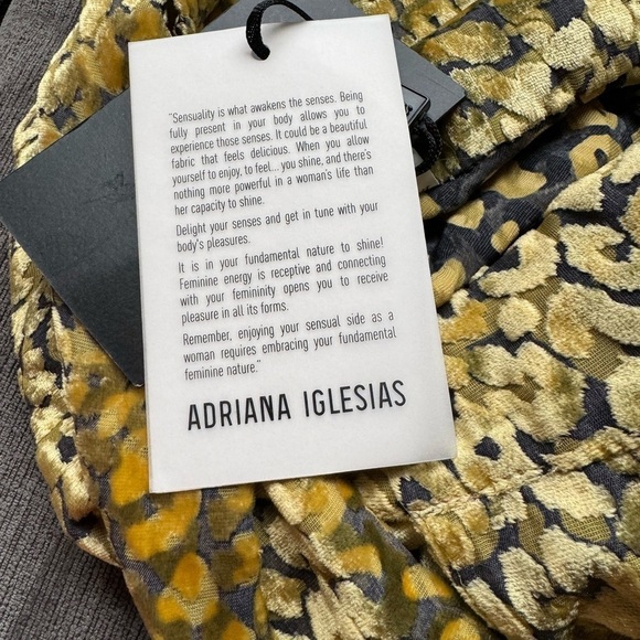 Adriana Iglesias Paris Velvet Leopard-Print Maxi Dress - Picture 11 of 12